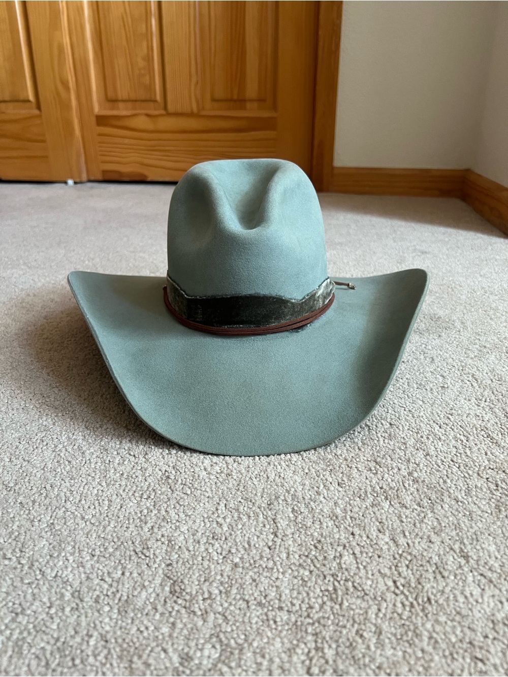 Classic Women’s Wide Brim Felt Hat - Sage Green